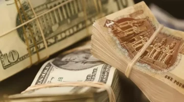 تراجع كبير في سعر الدولار بالبنوك المصرية بعد هبوطه 48 قرشاً دفعة واحدة